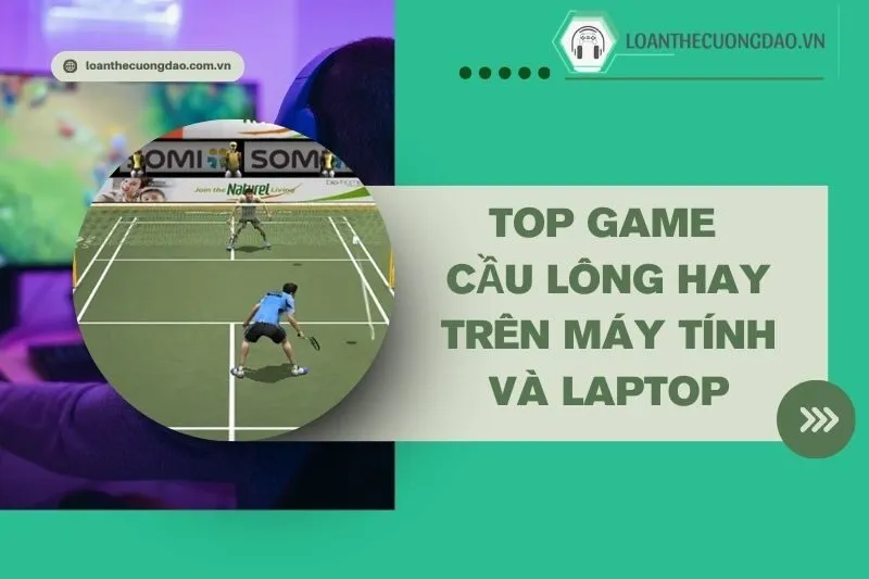 top-game-cau-long-hay-tren-may-tinh-va-laptop-choi-vui-do-hoa-dep